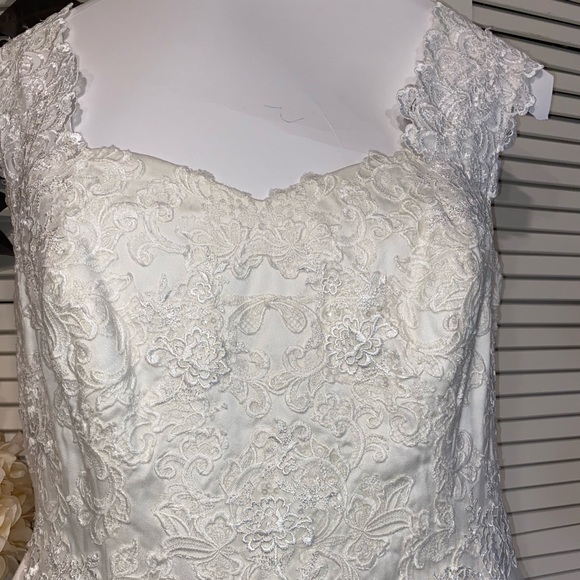 David’s Wedding Gown Plus Size - Picture 9 of 16